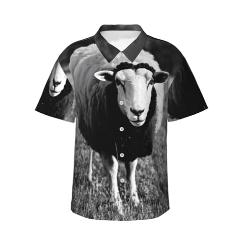 Chemise de vacances homme légère contre la chaleur ensemble short d'été décontracté