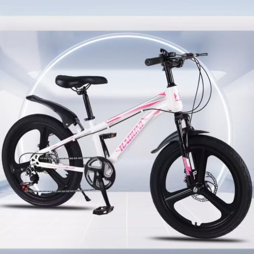 子供用 マウンテンバイク 22インチ」の人気商品一覧・価格比較 - 価格.com