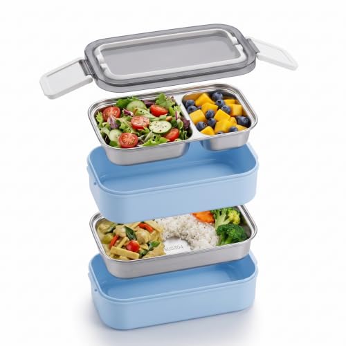 Image of TEX-RO Stainless Steel Lunch Box with 2 Layer | Leakproof Bento Lunch Box for Office, School & College | Airtight Tiffin Box for Men, Women & Kids | Food Grade Steel Lunch Box