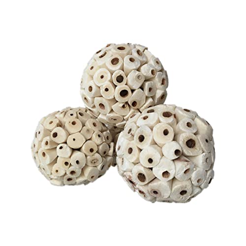3 s Bird Natural Sola Soft Chew ShGules Foraging Toy per pappagalli Pappagallo aw 6cm/2.36in