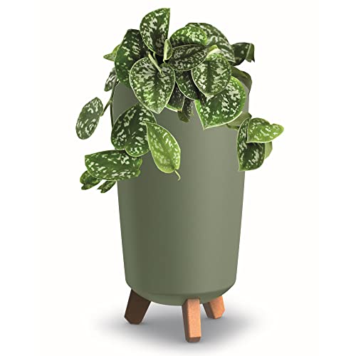 botle Blumentopf mit Füßen HOH Tube Pflanzkübe D 24 cm aus...