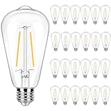 winsaLED 24 Pack LED Edison Bulbs 40 Watts Equivalent, 4 Watt LED Vintage Light Bulb, 2700K Soft White ST19 Light Bulb, 350LM E26 Base for Light Fixtures, Not Dimmable
