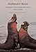 Elephant Seals: Pushing the Limits on Land and at Sea
