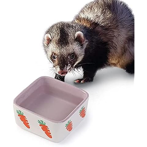JanYoo kleintiernäpfe zubehör Kaninchen napf futterspender futtertrog schüssel trinknapf futternapf Keramik Schale Lila Cover