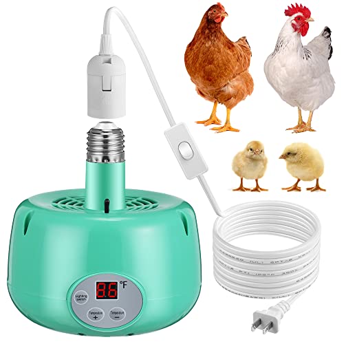 Top 12 Best Heater For Poultry Houses Reviews & Buying Guide Maine