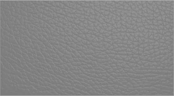 Leather Furniture Restorer Repair Paint in Colours, for sofa, car seats, shoes, hand bag restoring colour (Grey, 250ml Bottle)