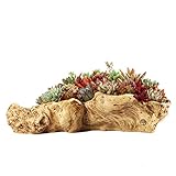 Artificial Driftwood Planter Sculpture Resin Succulent Planter Rustic Cactus Container Flower Pot Driftwood Trunk Stump Log Decorative Planter Pot (A)