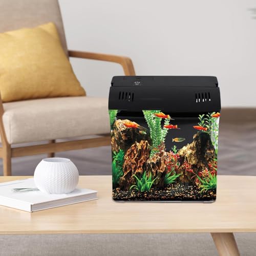 Aquarium compact Betta en verre avec filtration écoénergétique - 5