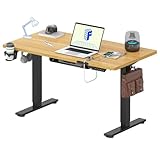 FLEXISPOT 昇降デスク ローデスク パソコンデスク EF1 T 高さ48-72cm テレワーク スタンディングデスク ㍶デスク 高さ調整 収納フック付き 高さメモリー 障害物検知 ゲーミングデスク 足（黒）＋天板（メイプル）