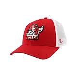 ZHATS Standard NBA Officially Licensed Adjustable Snapback Hat Big Rig Freeway, Team Color, One Size