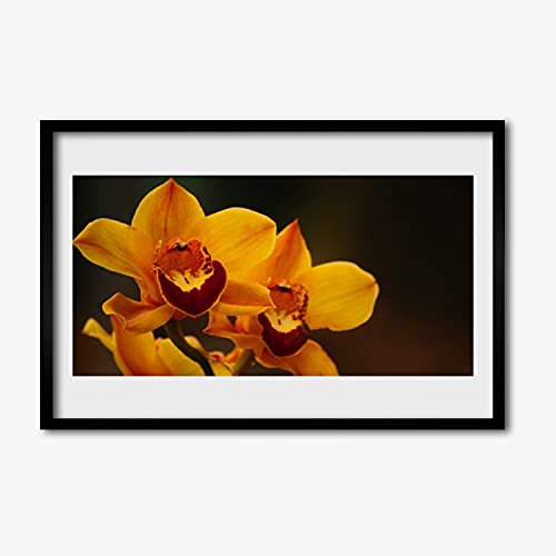 Affiche encadrée pour habiller un mur vide image plante fleurs Tulup 60x40