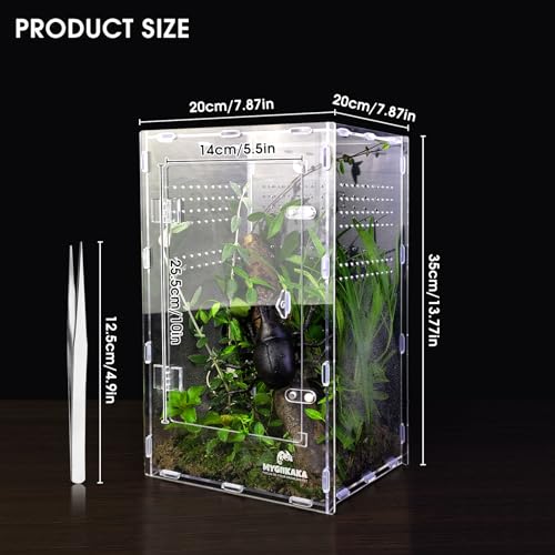 Image of Acrylic Jumping Spider Enclosure - Insect Terrarium for Spiders, Mantises, Tarantulas & Frogs