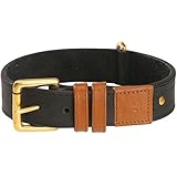 Bobby Urban Dog Collar, Size 40, Camel Brown