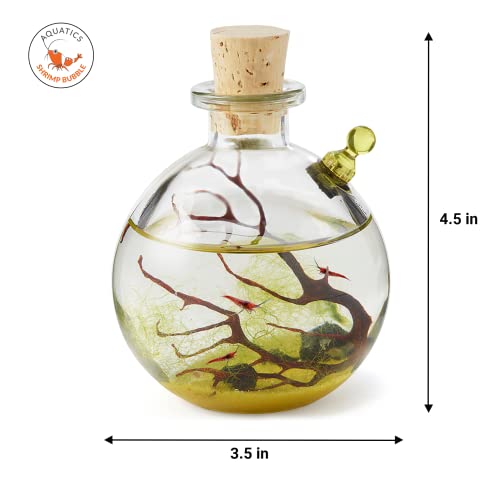 Shrimp Bubble Self-Sustaining Ecosystem