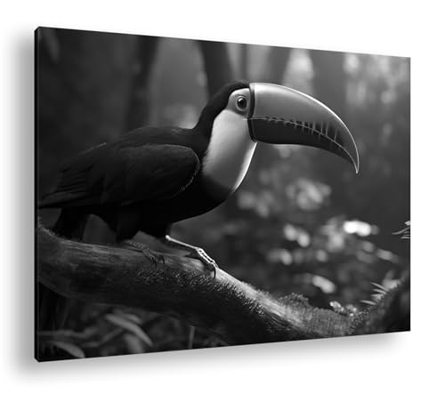 Cadre en bois toucan coloré imprimé art salon 90x60