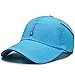 CLAPE Mesh Baseball Cap Schnell-trocknend Sport Running Cap Wasserdicht Basecaps 6 Panel Cappi Sommer Schildkappe Polo Trucker Cap (CP18-Lake Blue)