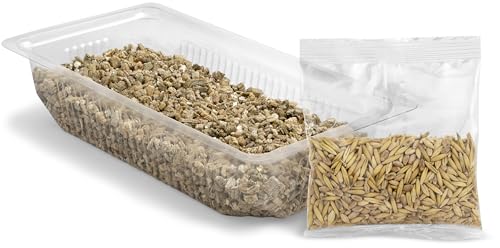 Vitakraft Katzen Gras Set, Cat Grass, 1x 120g (Packung mit 2)
