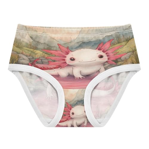 Cute Axolotl Toddler Girls's Underwear 2T 202b8883