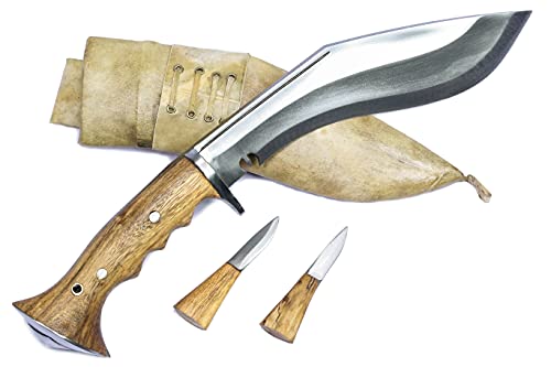 Bastinelli Creations BAS06 Diagnostic Fixed Blade Knife SW Stainless Karambit