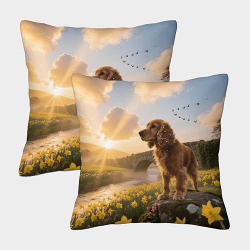 Funda De Cojín con Brown Cocker Spaniel Inglés Juego De 2, Microfibra Suave Funda De Almohada con Cremallera Invisible, Fundas Decorativas para Sofá Coche Cama Sillas, 45x45cm