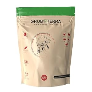 GrubTerra Golden Dried Black Soldier Fly Larvae – Premium Supplement to Increase Egg Production for Pet Treats, Bird Feed, Chicken Feeder, Pet Bird Food, and Wildbird Feed (10lb)