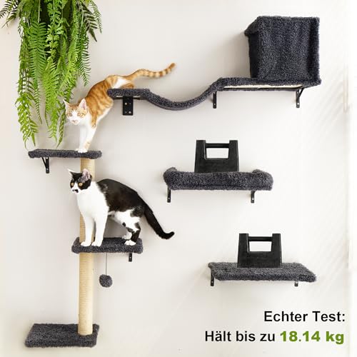 FUKUMARU Kletterwand Katzen Set, 10-teilig Katzen Kletterwand Set, aus robuster Multiplexplatte，Hängematte Katze mit Katzenhaus, Katzenbrücke, Katzenbaum, Katzentreppe bis zu 18 kg, Grau