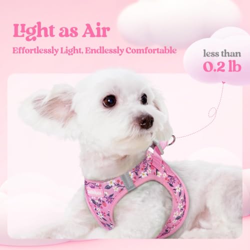 Image of rabbitgoo Dog Harness Medium Sized and Leash Set, Step-in Puppy Pet Vest