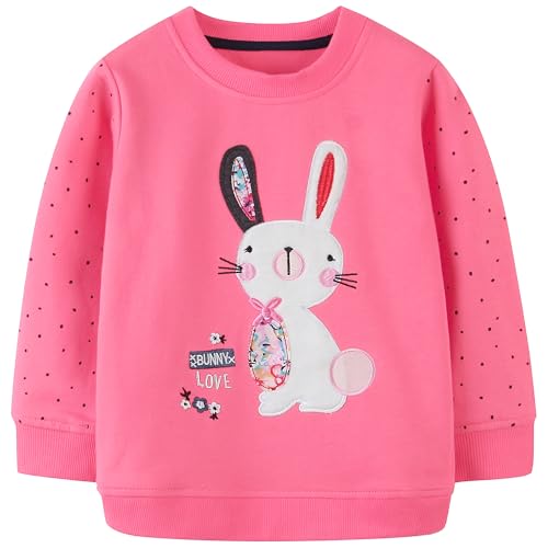 Image of AIWUHE Toddler Cotton Sweatshirt Boys Girls Pullover Long Sleeve Tops 2-6Y