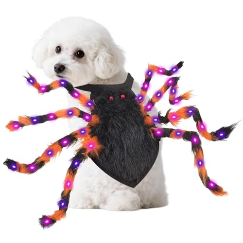 Halloween Glowing Spider Dog Costume - 40 LED Lighting Dogs Cats ...