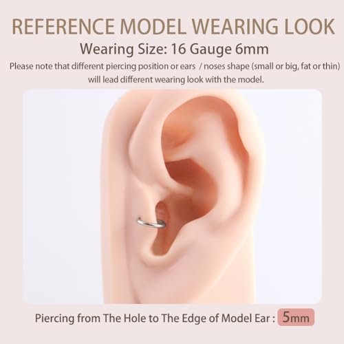 Image of FANSING Men Women 316L Surgical Steel Hinged Nose Rings Hoop for Nostril Septum Cartilage Helix Daith Tragus Rook Conch Lip Ear Lobe Piercings