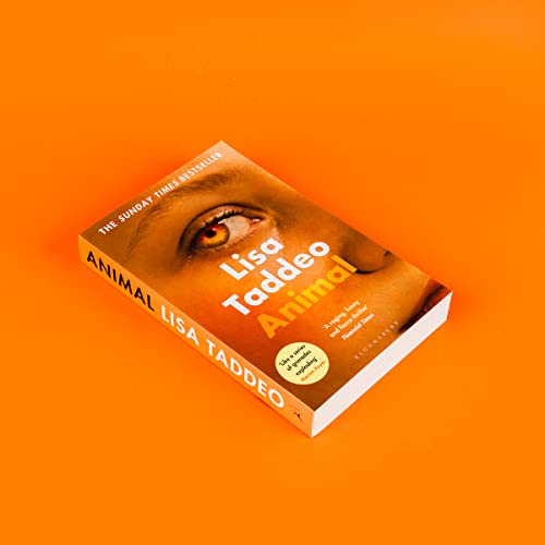 Animal: The ‘compulsive’ (Guardian) new novel from the author of THREE WOMEN