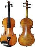Un violino facile da suonare può essere apprezzato da un violinista per anni. Il tono caldo e maturo, la suonabilità, la sensazione e la consistenza ti manterranno meravigliosamente e affidabile motivato con personal trainer come Suzuki.
