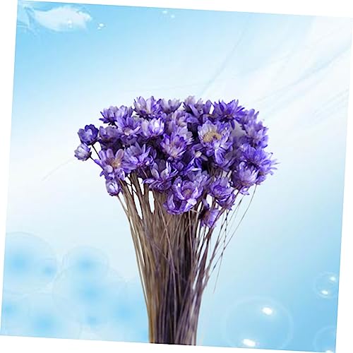 Daisy seca decoración 30 piezas para arreglo DIY miniatura 3