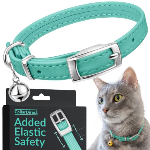 Image of CollarDirect Leather Cat Collar with Elastic Safety Strap and Bell for Boy, Girl, Kitten (Neck Fit 9 inch-11 inch, Mint Green)
