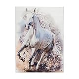  Obsession Kinderteppich Torino Kids Tok 235 White Horse (160 x 230 cm)