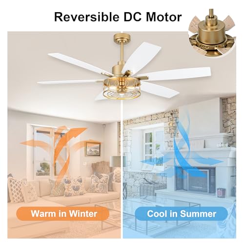 Image of White and Gold Ceiling Fan with Lights 60 inch Fandelier Ceiling Fan | Gold Caged Chandelier, Modern Fandeliers with Lights and Remote for Living Room Bedroom Covered Outdoor, Reversible 6 Speeds
