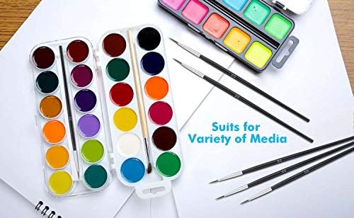 Anezus 30 Pcs Pack of Synthetic Sable Fine Detail Paint Brushes Set for Miniature, Scale Model, Art Painting in Acrylic, Oil, Watercolor