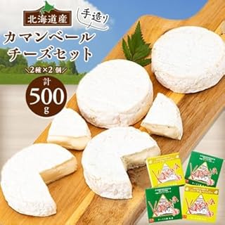 (毎月定期便)角谷 カマンベールチーズセット(125g×4個)全3回