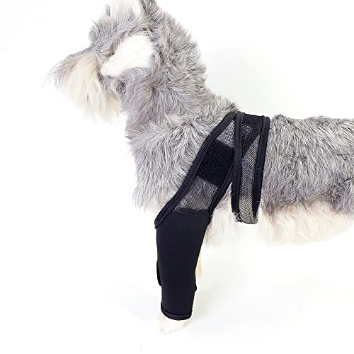 Hunde-Hinterbeinstütze – Für Rehabilitation & Gelenkschutz, Größe L