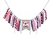 WAOUH Highchair Banner for 1st Birthday Party - Red and Blue Birthday Banner Airplane Party Supplies for Baby Shower - Airplane for Birthday Party Decorations (Airplane Party Supplies Banner)