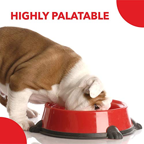 Drools Pup Booster for Dogs Weaning Diet 300g Pack | Chicken Flavour | All Breed Formula | Promotes Growth and Development | Prebiotics and Probiotics