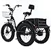 Electric Tricycle for Adults,Fat Tire Folding Electric Trike,3 Wheels Electric Bicycle Bikes, 48V 12Ah Step-Thru Etrike with Removable Battery and Large Basket for Women Men Deliver a car fridge