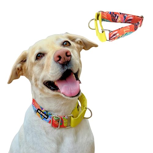 Dog-O-Bow Red & Yellow Martingale Collar (Medium)