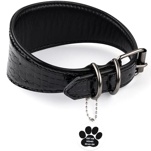 FAVPET Luxus Echtleder Windhund Halsband Breit mit QR Code Anhänger, Weiches Lederhalsband Hund Breit Whippet Italienisches Windspiel Saluki Lurcher Spanischer Galgo Greyhound Podenco (Schwarz, XS)