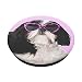 Sassy Shih Tzu - Dog with Heart-Shaped Pink Sunglasses. PopSockets PopGrip: Swappable Grip for Phones & Tablets