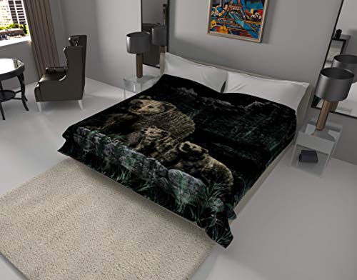 SOLARON Korean Super Thick Heavy Weight Mink Blanket (Queen, Bear and Cubs Green)