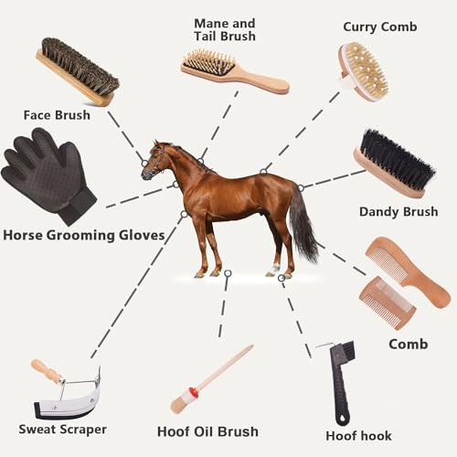Horse Grooming Kit (10-Piece) with Tote,Horse Cleaning Tool Set with Assorted Hair and Curry Comb, Hoof Pick Sweat Scraper,Grooming Gloves,Portable Black Storage Bag,Riding Equipment for Beginners - Image 3
