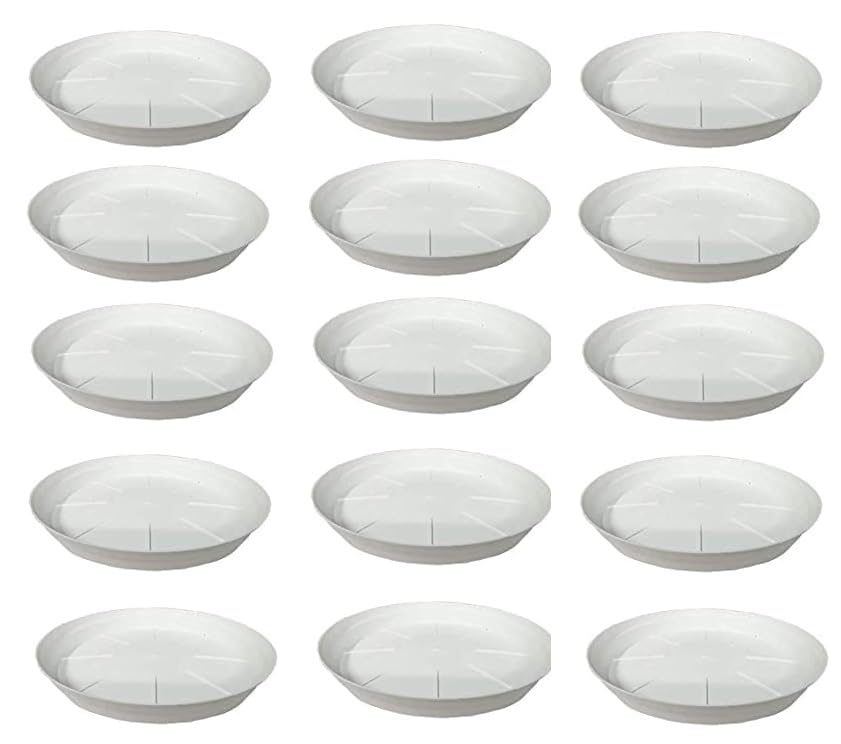 See full amazon price history chart for Varshney Gardening 8 Inch 15 Pcs White Bottom Plates for Flower Pots | Pot Plant Saucer | Plant Pot Tray for Indoor & Outdoor Balcony Garden Varshney Gardening 8 Inch 15 Pcs White Bottom Plates for Flower Pots | Pot Plant Saucer | Plant Pot Tray for Indoor & Outdoor Balcony Garden (B0CRQ6V179) Amazon Price History, Amazon Price Tracker