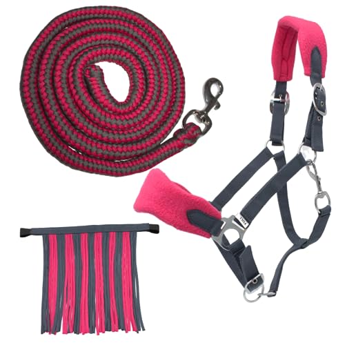 PFIFF 103103 Sunny - Juego de Cabestro (3 Piezas, Tejido y Flecos, Personalizable, Gris-Rosa, COB