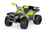 polaris quad 800 BATTERIA E CARICABATTERIA SMART: Collegare il caricabatteria a una comune presa domestica, è possibile ricaricare la batteria sia estraendola che direttamente nel veicolo, l’ottimizzazione dell’energia della batteria è controllata dallo Smart Energy Control.